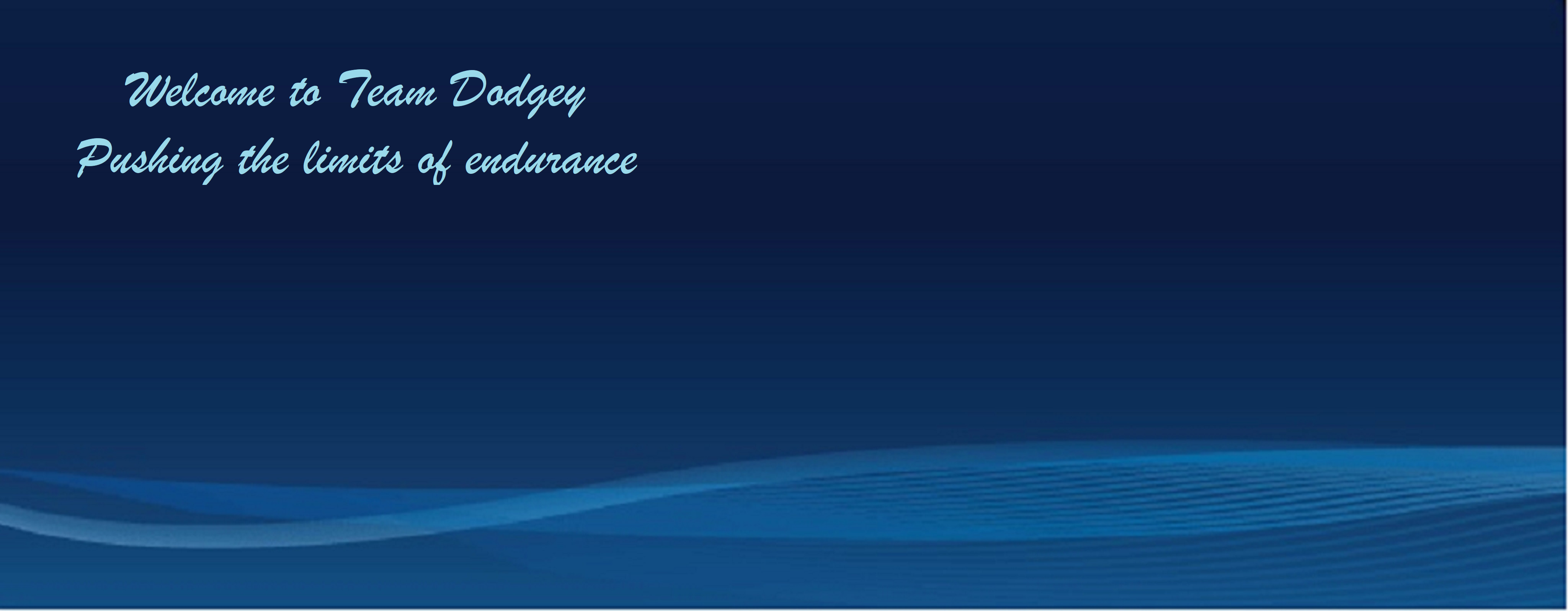 Welcome to Team Dodgey